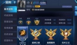 王者琥珀限定最新爆料,神秘力量觉醒，全新玩法即将解锁！